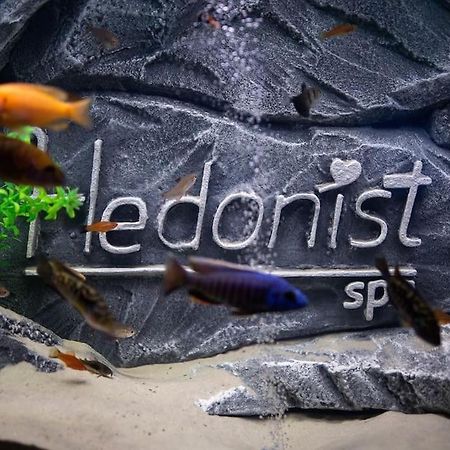 Hedonist-Belgrade Central Nest エクステリア 写真
