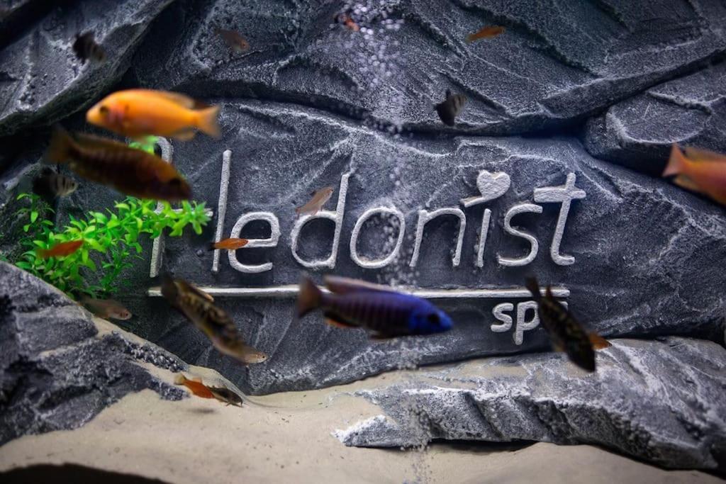 Hedonist-Belgrade Central Nest エクステリア 写真